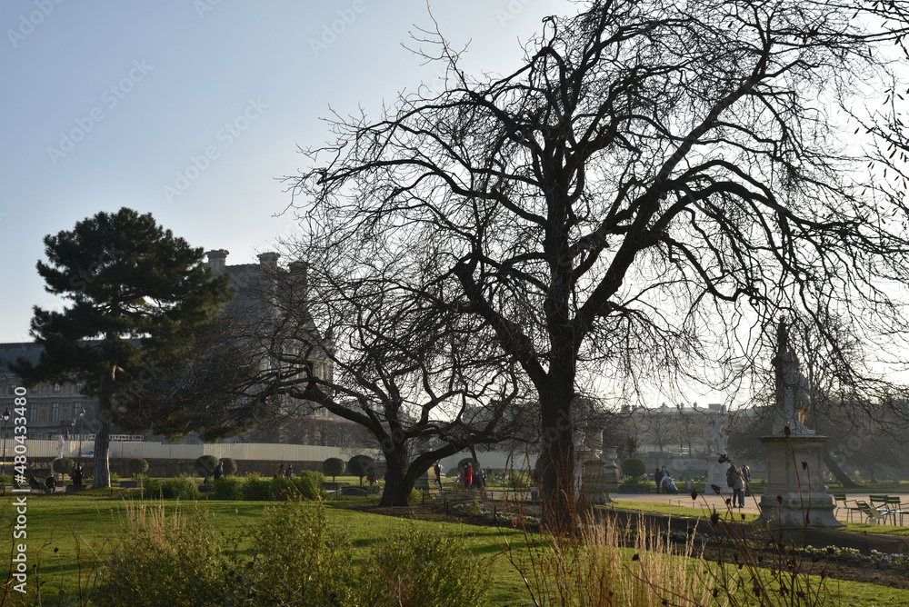 Jardin des Tuileries en hiver à Paris, France Jardin des Tuileries en hiver à Paris, France