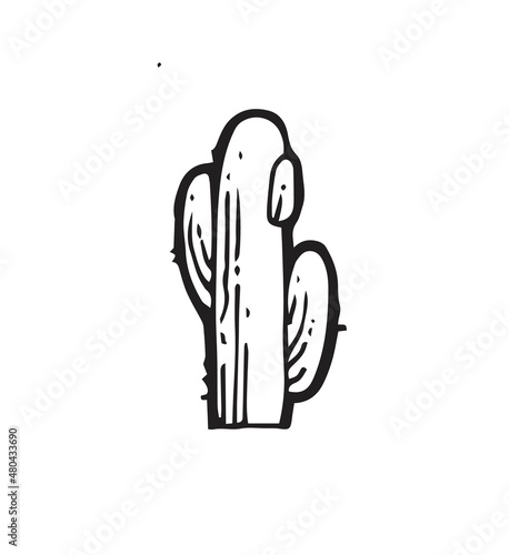 Large prickly cactus. An exotic southern plant from the desert. Outline sketch. Hand drawing is isolated on a white background. Vector