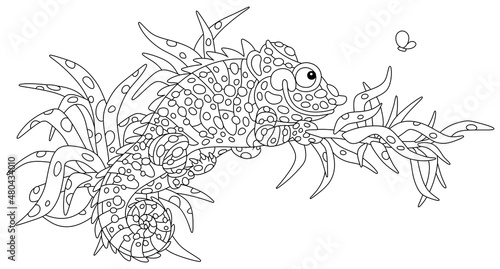 Funny chameleon, exotic lizard with protruding eyes and a prehensile tail, hiding among leaves of a tropical tree branch in a wild jungle, black and white outline vector cartoon illustration