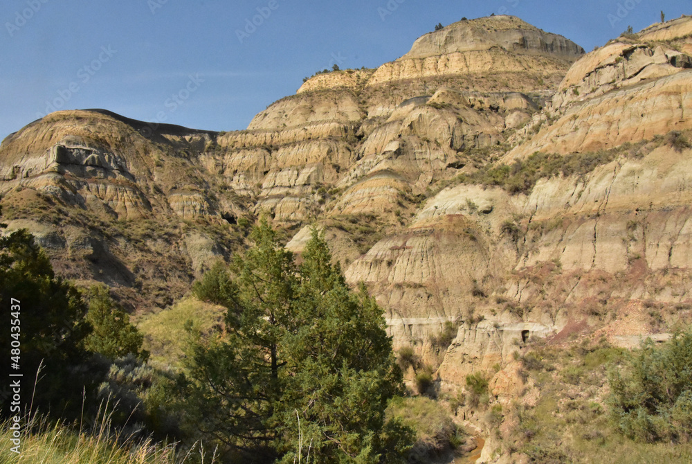 Golden Rocky Butte in the Scenic Landscape