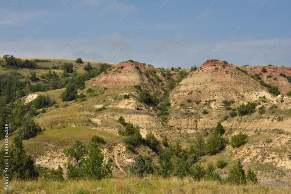 Golden Yellow Mounds in the Badlands of North Dakota