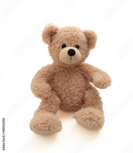 Teddy bear sitting isolated on white background. Cute brown stuffed animal