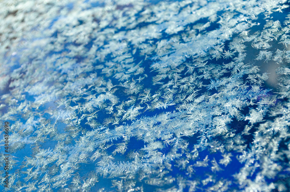 Obraz premium Snow and frost texture background