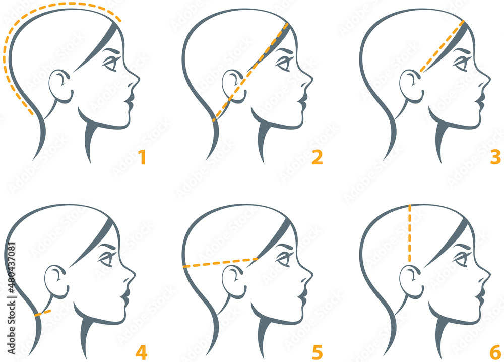 Stylized linear silhouette of a female head isolated on a white background. Template for measuring head. Wigs or hair systems or caps Sizing Charts. Vector illustration Stylized linear silhouette of a female head isolated on a white background. Template for measuring head. Wigs or hair systems or caps Sizing Charts. Vector illustration