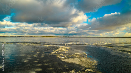 Aerial view of seagulls on a frozen lake