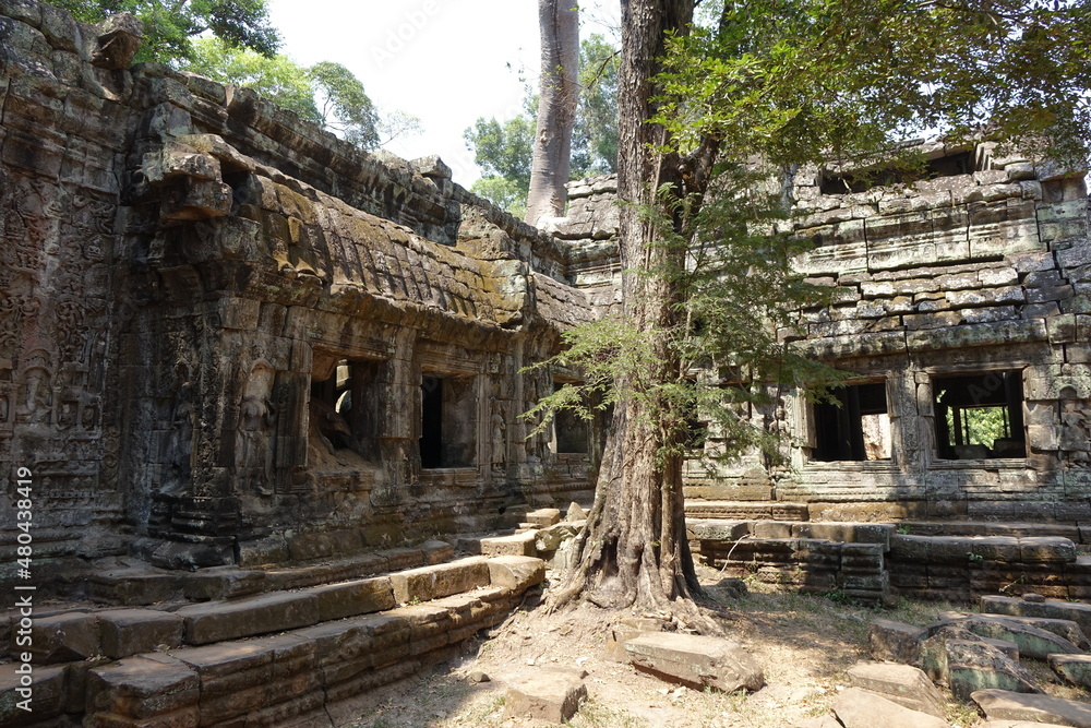 Fototapeta premium Adventure of exploring mystic Ta Prohm temple overgrown by jungle trees (horizontal image), Siem Reap, Cambodia