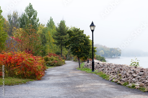 Selective focus view of red sumac bushes on the Jacques-Cartier walk along the St. Lawrence River seen during a foggy fall morning, Cap-Rouge area, Quebec City, Quebec, Canada