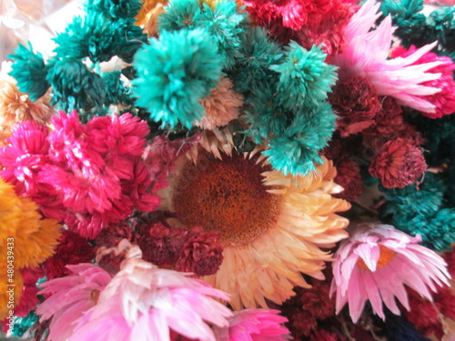 flor, flores, flores multicolor, flores arco iris, flores secas, flores deshidratadas, flores muertas