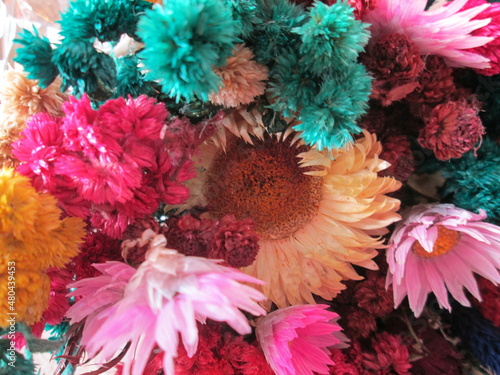 flor, flores, flores multicolor, flores arco iris, flores secas, flores deshidratadas, flores muertas
