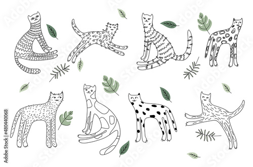 A set of doodle-style hand drow cats.  Funny cartoon character. Vector illustration design. Kids wallpaper.