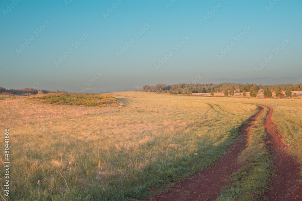 Obraz premium Road through the autumn field.
