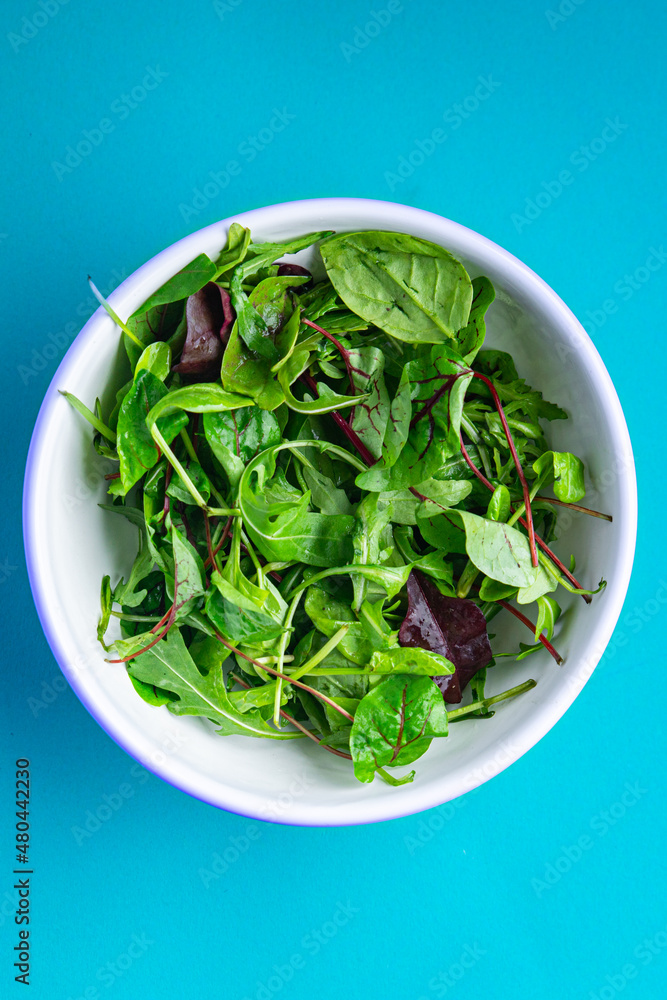 salad plate green leaves mix healthy meal food snack on the table copy space food background rustic top view keto or paleo diet veggie vegan or vegetarian food salad plate green leaves mix healthy meal food snack on the table copy space food background rustic top view keto or paleo diet veggie vegan or vegetarian food