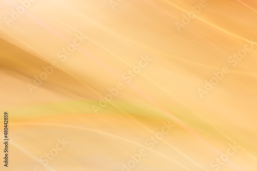 Soft abstract spring easter background. Backdrop.