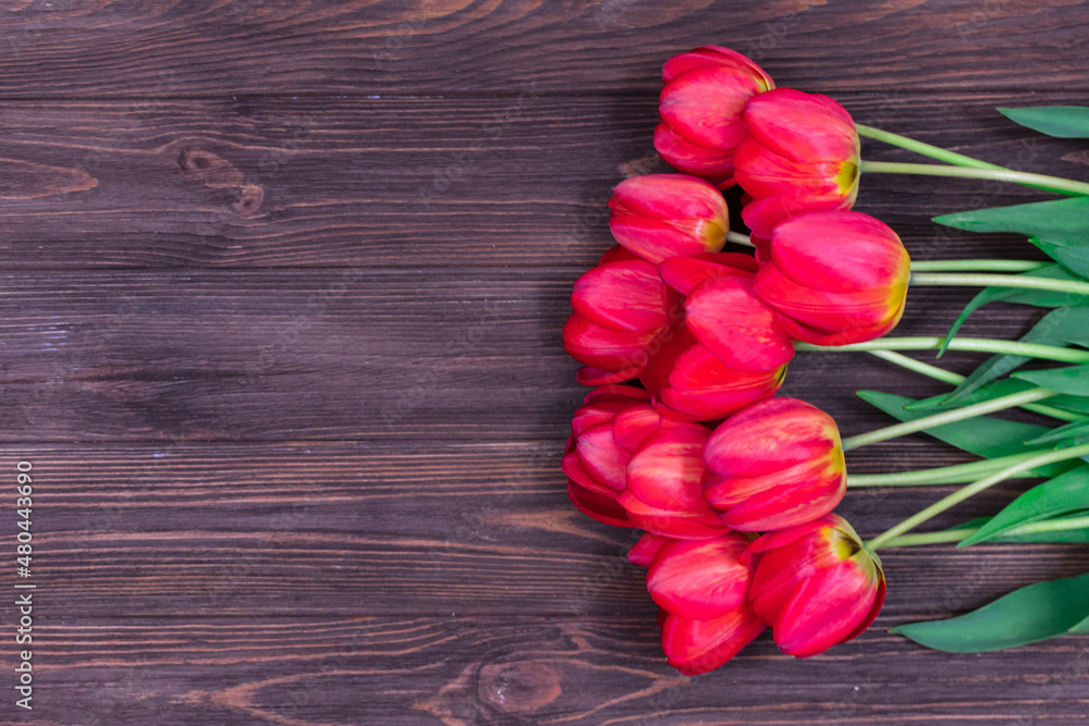 Red tulips on a brown wooden background. Mothers Day. March 8. Place for an inscription. The basis for the postcard.