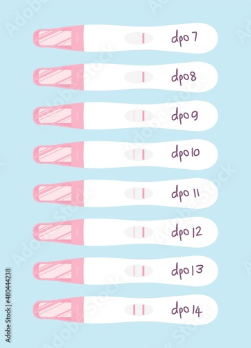 Beta hCG levels blood test at home period of days false result weeks cycle twins missed miscarry lab past In vitro fertilisation IVF sperm baby check egg line molar loss serum care menstruation birth