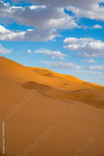 Sand dunes in Morocco. Erg Chebbi Sahara desert. Yellow red sand and blue sky. High quality photo
