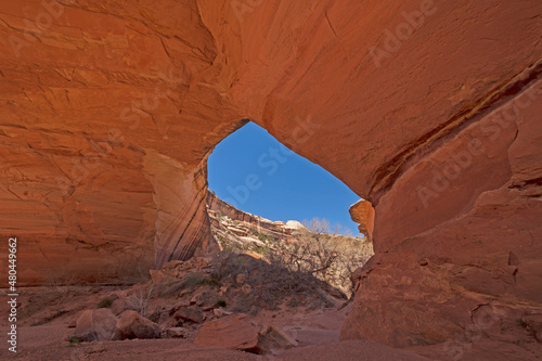 Peeking Through a Window in the Desert