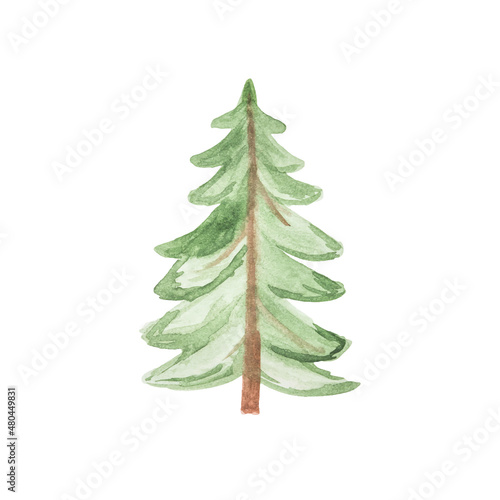 Hand-drawn watercolor green Christmas tree isolated on white background.