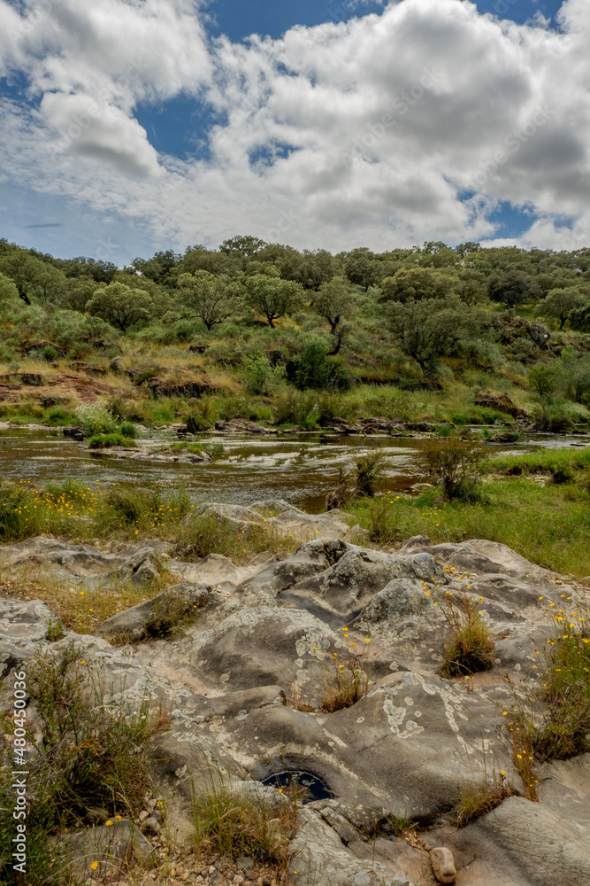 Espacio natural de interés ornitológico ZEC Río Almonte en la Red Natura de Extremadura. Río natural con vegetación de ribera y encinar en dehesa.