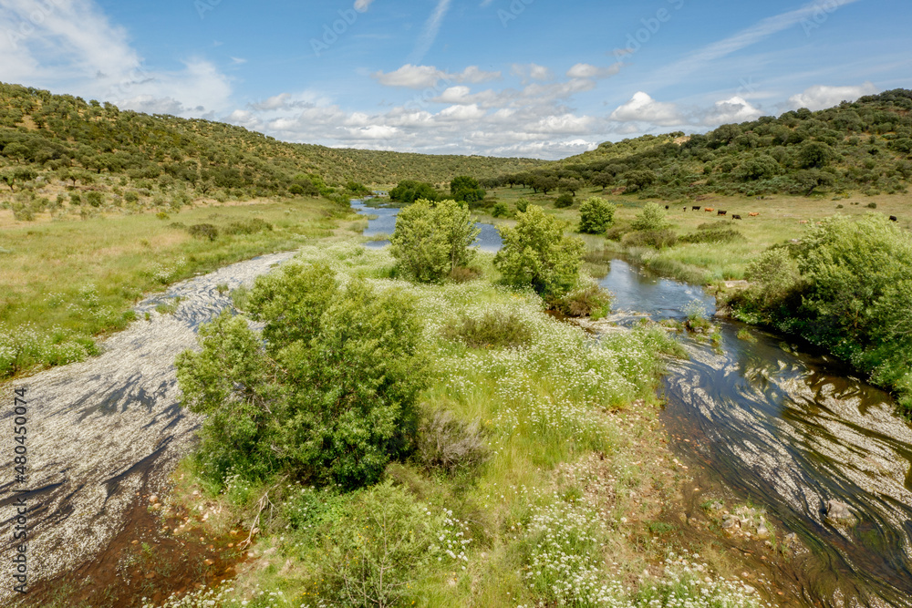 Espacio natural de interés ornitológico ZEC Río Almonte en la Red Natura de Extremadura. Río natural con vegetación de ribera y encinar en dehesa.