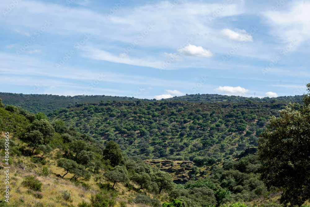 Parque nacional de Monfragüe en Extremadura España en primavera dehesas y paisaje natural
