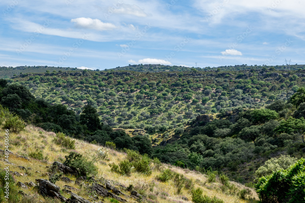 Parque nacional de Monfragüe en Extremadura España en primavera dehesas y paisaje natural