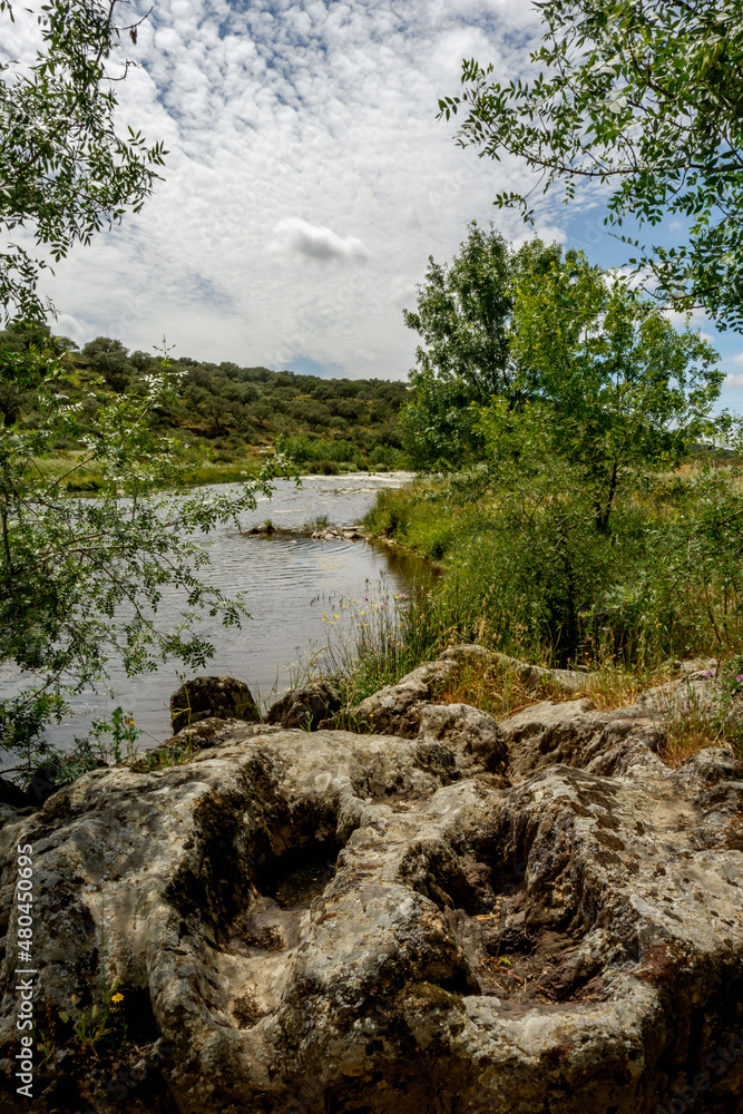 Parque nacional de Monfragüe en Extremadura España en primavera dehesas y paisaje natural