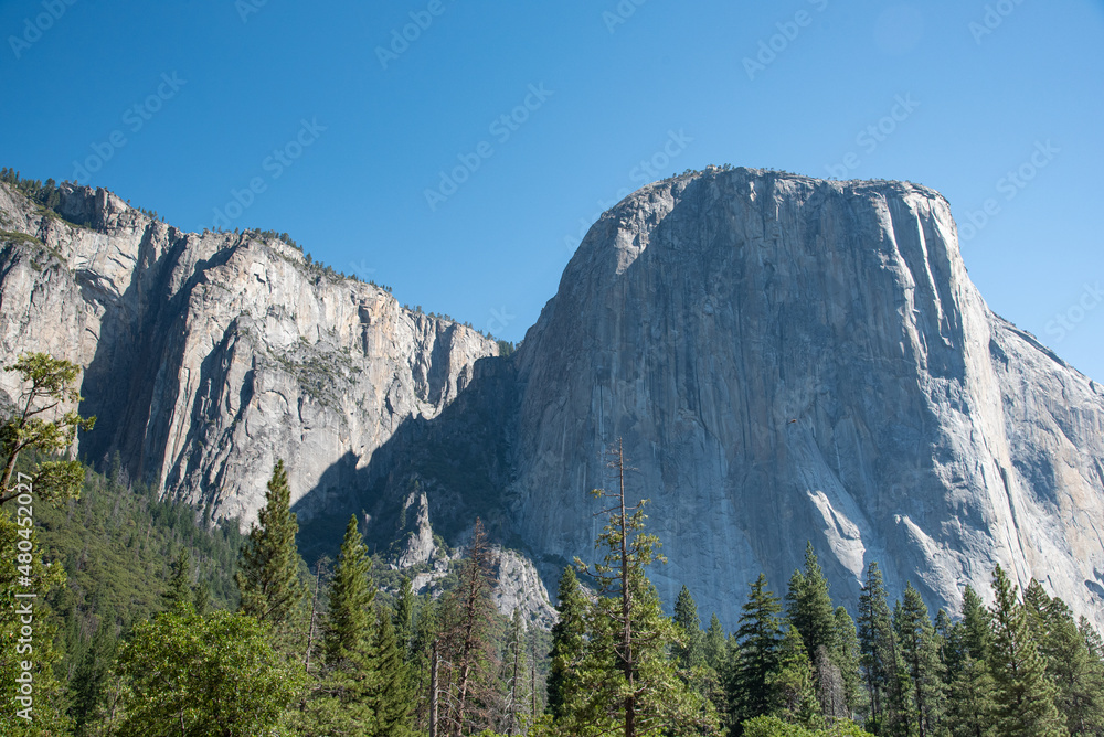 Picturesque View of El Captain in Yosemite National Park During a Sunny Summer Day in California