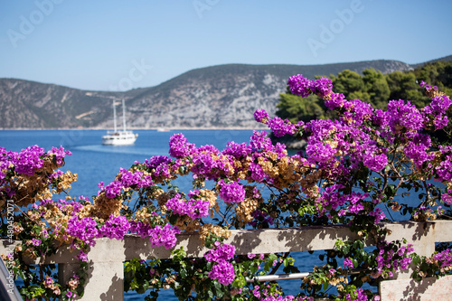Fototapeta Naklejka Na Ścianę i Meble -  moored boat in Mediterranean harbour and pink flowers on tree
