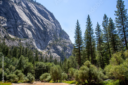Picturesque View of El Captain in Yosemite National Park During a Sunny Summer Day in California