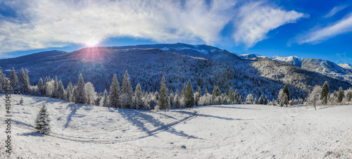 Mountain landscape winter - alpine landscape with trees covered by snow and blue sky panorama