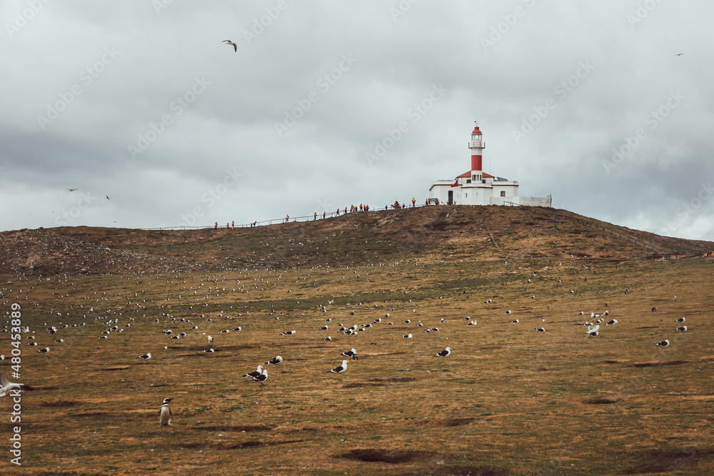 Lighthouse on Isla Magdalena with penguins around on a cloudy day in Chilean Patagonia
