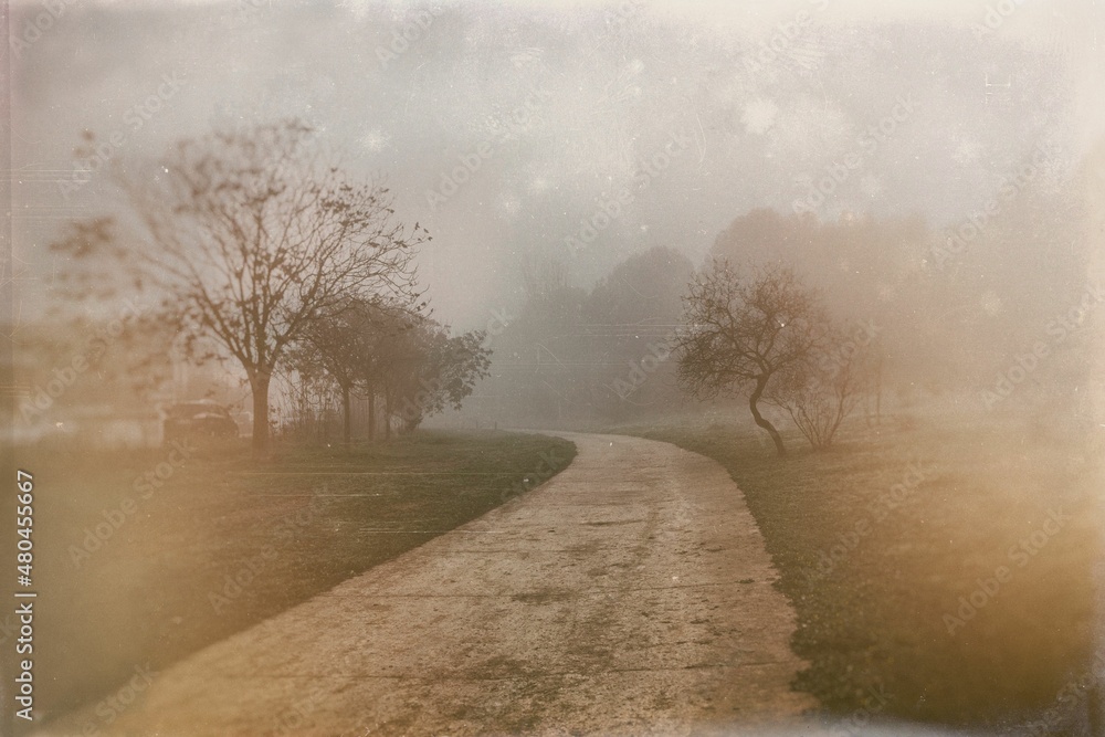 l calm landscape with road in misty gray winters day l calm landscape with road in misty gray winters day