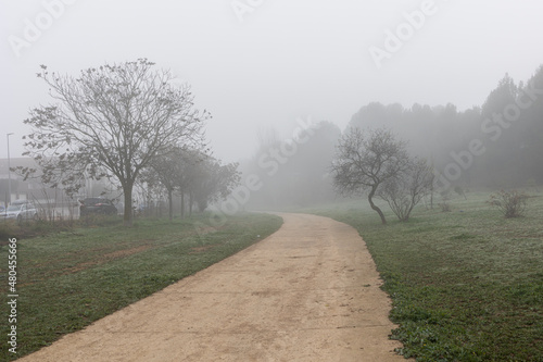 l calm landscape with road in misty gray winters day