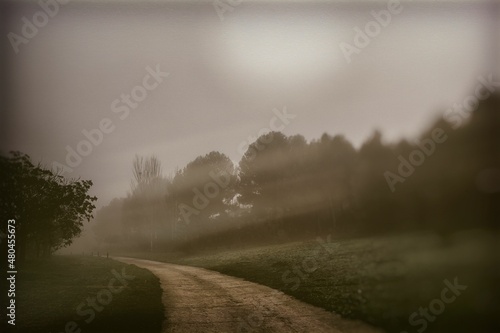 l calm landscape with road in misty gray winters day