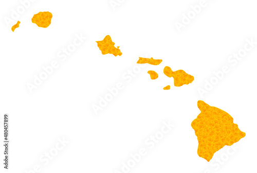 Vector Golden map of Hawaii State. Map of Hawaii State is isolated on a white background. Golden items texture based on solid yellow map of Hawaii State.
