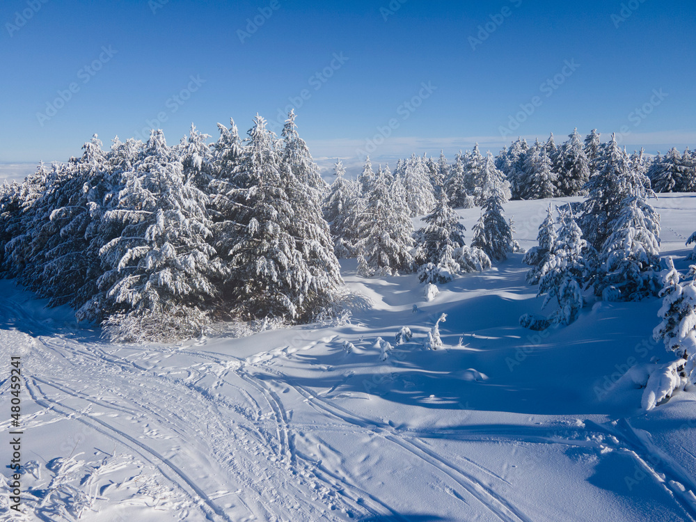 Obraz premium Aerial Winter view of Vitosha Mountain, Bulgaria