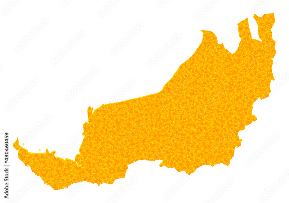 Vector Golden map of Sarawak. Map of Sarawak is isolated on a white ...