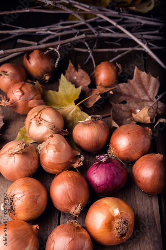 Freshly harvested onions of different types and sizes on a wooden table. High quality photo