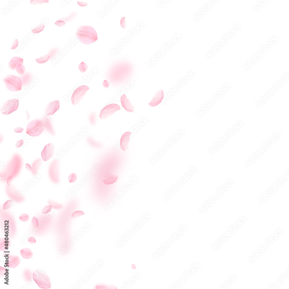 Sakura petals falling down. Romantic pink flowers gradient. Flying petals on white square background. Love, romance concept. Vibrant wedding invitation. Sakura petals falling down. Romantic pink flowers gradient. Flying petals on white square background. Love, romance concept. Vibrant wedding invitation.