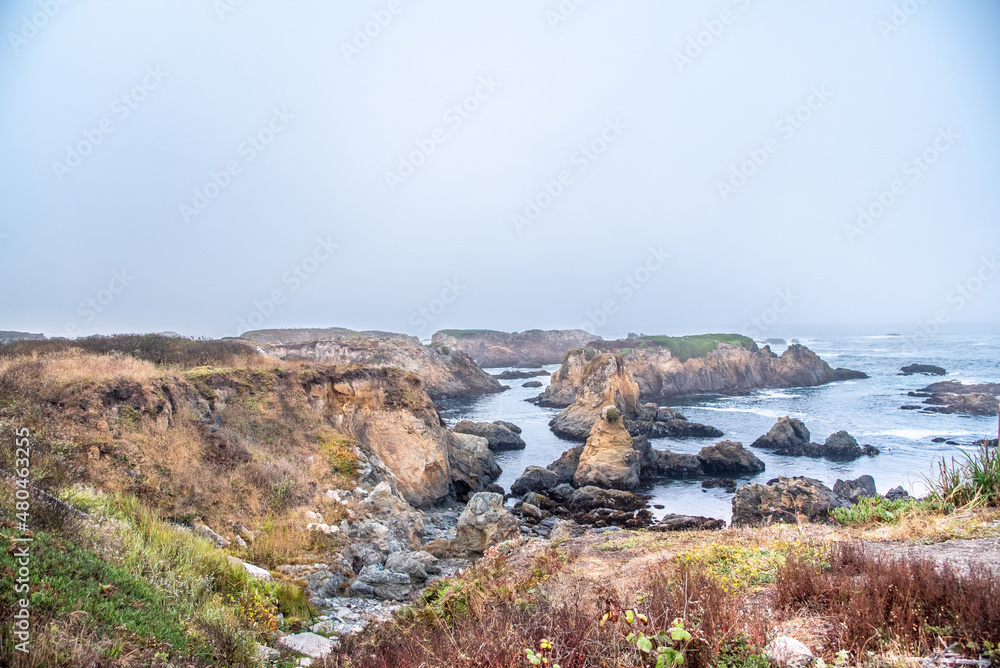 Flowers and Colorful Plants on Cliffs of California Coast on a Stormy Day at Fort Braggs
