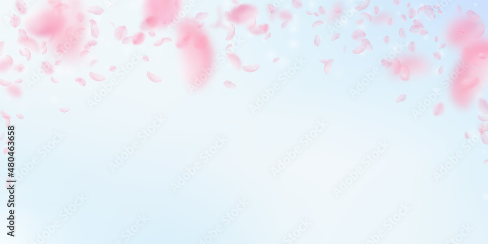 Sakura petals falling down. Romantic pink flowers falling rain. Flying petals on blue sky wide background. Love, romance concept. Imaginative wedding invitation.