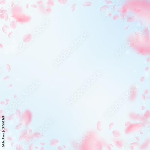 Sakura petals falling down. Romantic pink flowers vignette. Flying petals on blue sky square background. Love, romance concept. Creative wedding invitation. © Begin Again