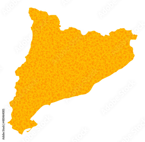 Vector Golden map of Catalonia. Map of Catalonia is isolated on a white background. Golden items mosaic based on solid yellow map of Catalonia.