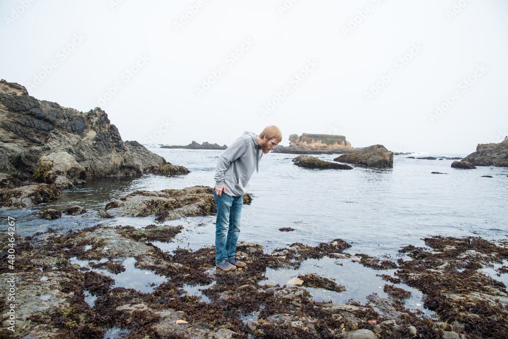 Man Hiking Through Tide Pools Along California Coast on a Cloudy Day at Fort Braggs