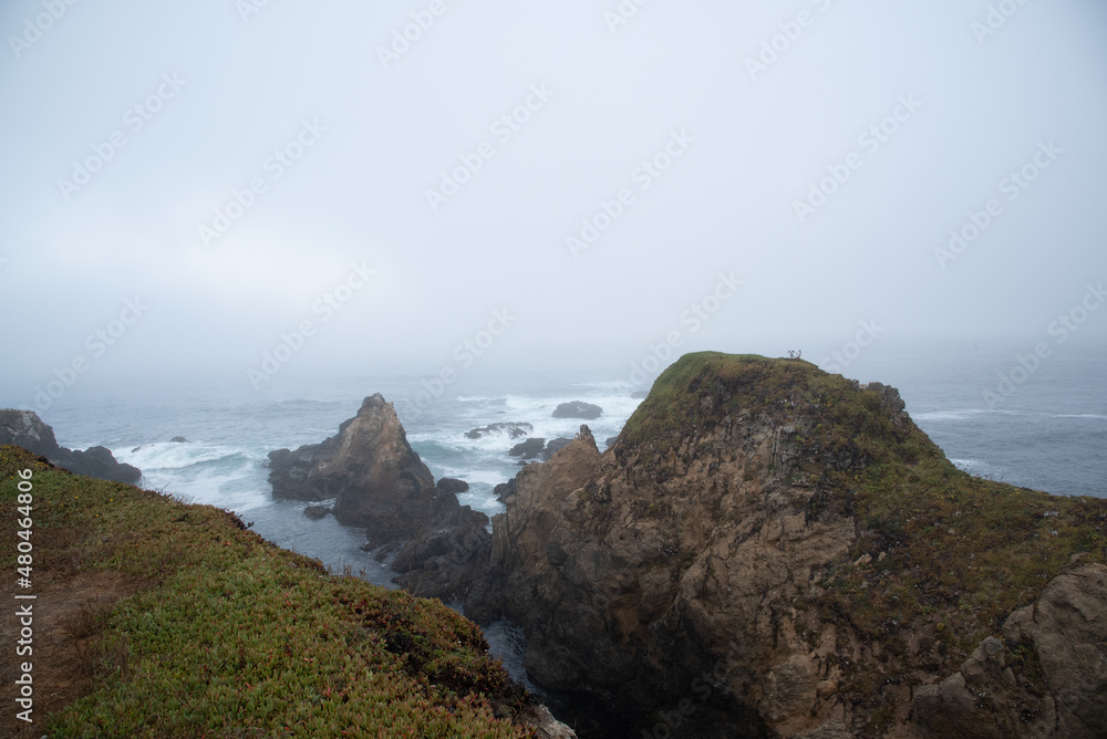 Flowers and Wildlife on Stormy Cliffs Along the California Coast at Fort Braggs