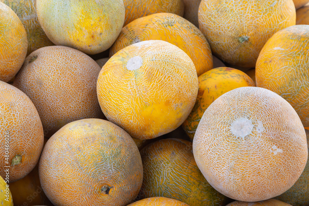 Fototapeta premium Yellow melons stacked in a mountain.