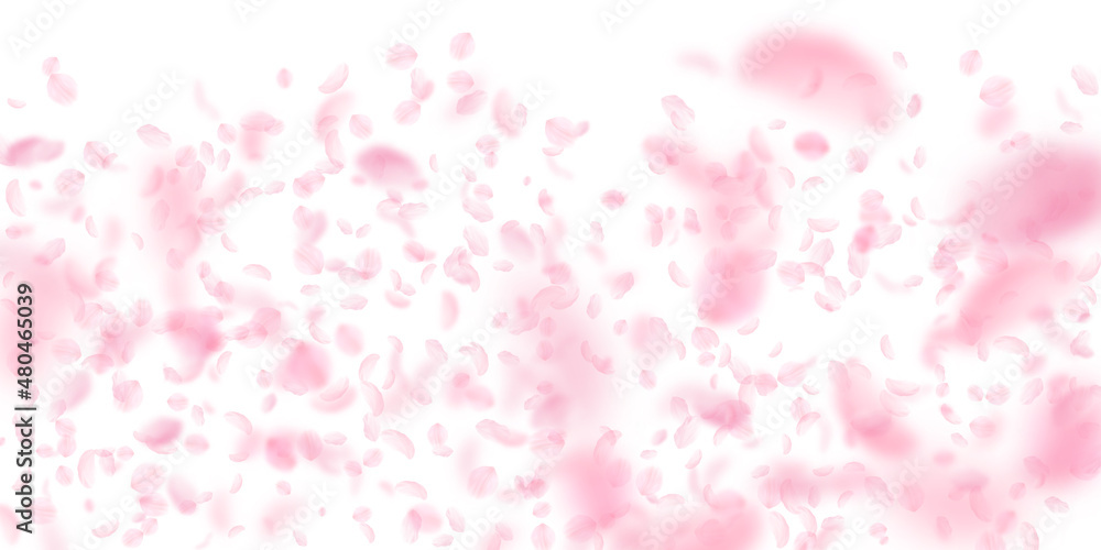 Sakura petals falling down. Romantic pink flowers gradient. Flying petals on white wide background. Love, romance concept. Pleasing wedding invitation. Sakura petals falling down. Romantic pink flowers gradient. Flying petals on white wide background. Love, romance concept. Pleasing wedding invitation.