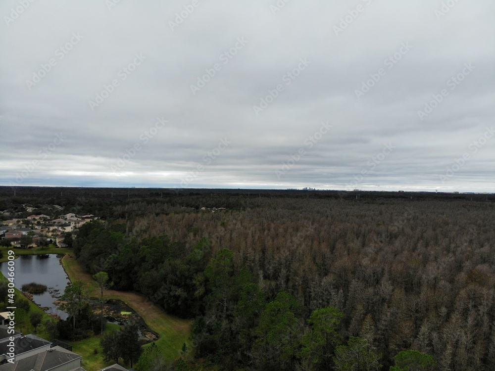 custom made wallpaper toronto digitalAerial view of forest and community in Tampa in Florida, USA