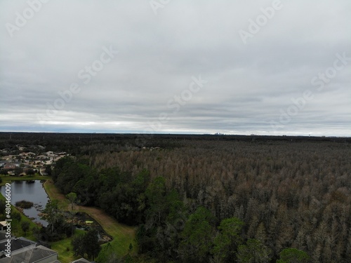 Wallpaper Mural Aerial view of forest and community in Tampa in Florida, USA	
 Torontodigital.ca